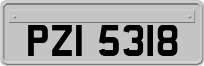 PZI5318