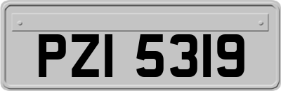 PZI5319