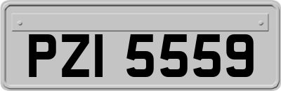 PZI5559