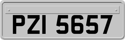 PZI5657