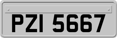 PZI5667