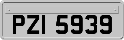 PZI5939