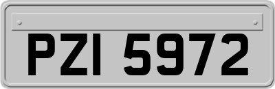 PZI5972