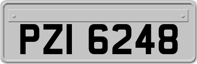 PZI6248