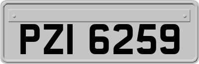 PZI6259