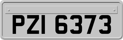 PZI6373