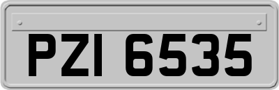 PZI6535