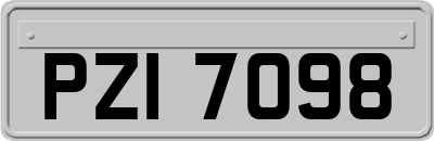 PZI7098