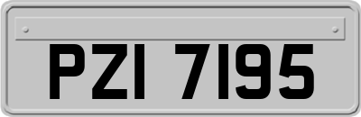 PZI7195