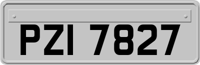 PZI7827