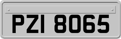 PZI8065