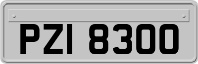 PZI8300