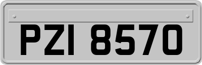 PZI8570