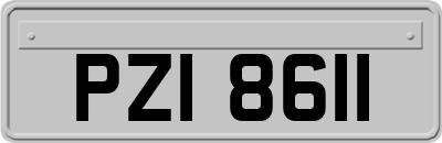 PZI8611