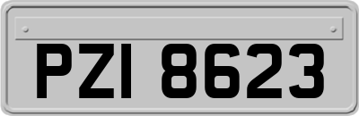 PZI8623