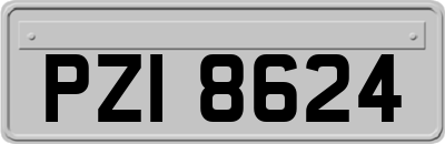 PZI8624