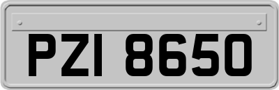 PZI8650