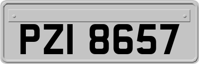 PZI8657