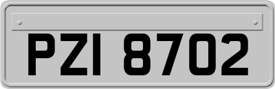 PZI8702