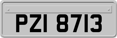 PZI8713