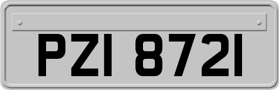 PZI8721