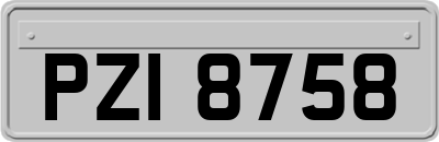 PZI8758