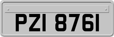 PZI8761