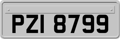 PZI8799