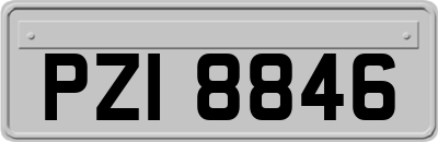 PZI8846