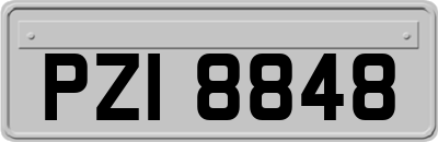 PZI8848