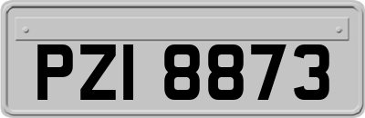 PZI8873