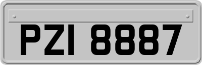 PZI8887