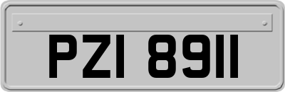 PZI8911