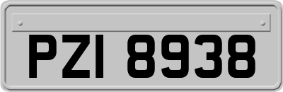 PZI8938