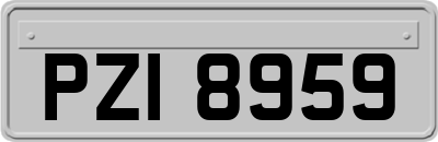 PZI8959