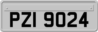 PZI9024