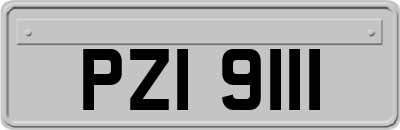 PZI9111