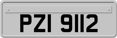 PZI9112