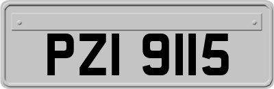 PZI9115