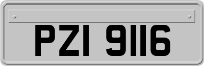 PZI9116