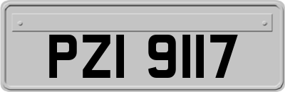 PZI9117