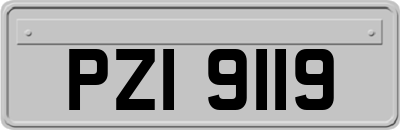 PZI9119