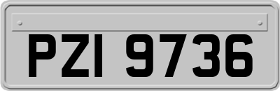 PZI9736