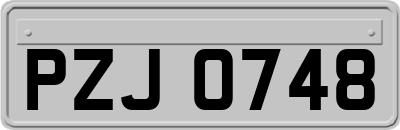 PZJ0748