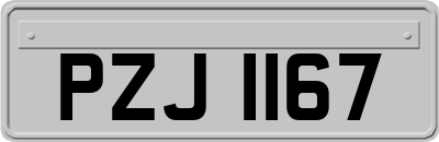 PZJ1167