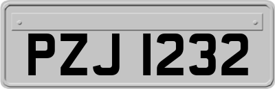 PZJ1232