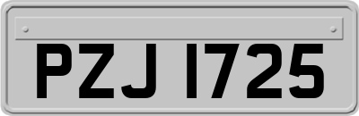 PZJ1725