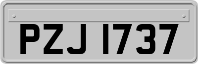 PZJ1737