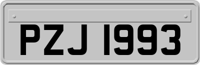 PZJ1993