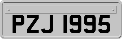 PZJ1995